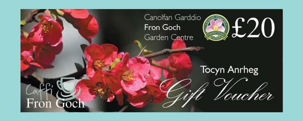 Gift Voucher UK – image is important
